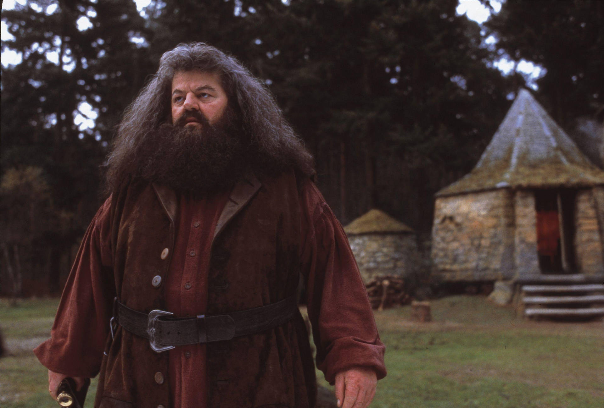 Rubeus Hagrid